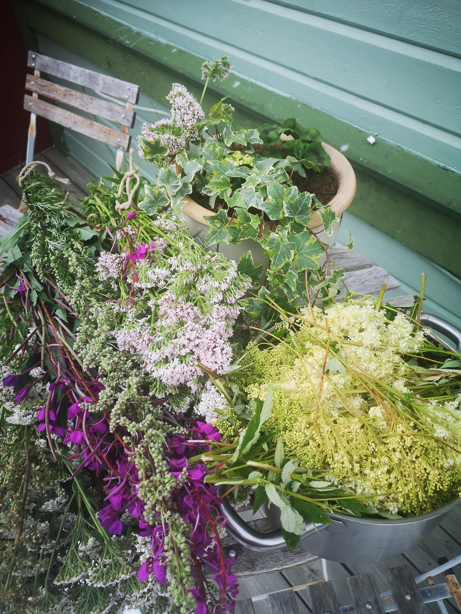 hälsa och inre balans